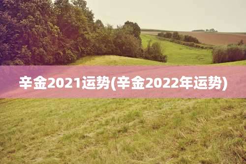 辛金2021运势(辛金2022年运势)