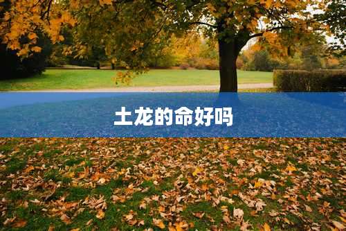 土龙的命好吗