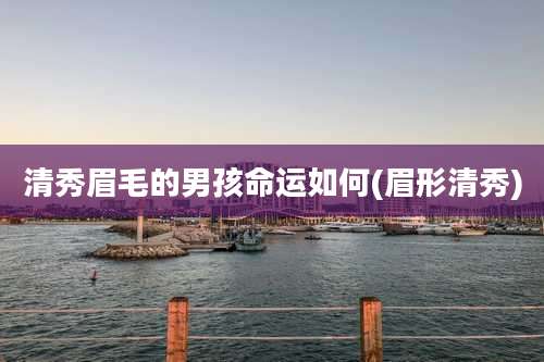 清秀眉毛的男孩命运如何(眉形清秀)