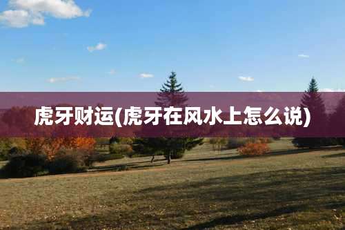 虎牙财运(虎牙在风水上怎么说)