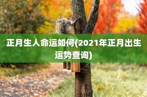 正月生人命运如何(2021年正月出生运势查询)
