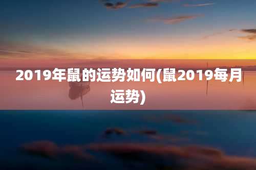 2019年鼠的运势如何(鼠2019每月运势)