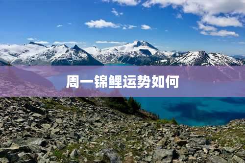 周一锦鲤运势如何