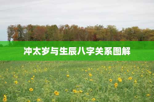 冲太岁与生辰八字关系图解