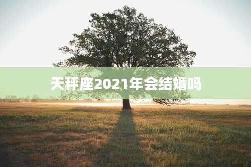 天秤座2021年会结婚吗