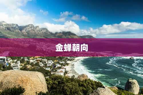 金蝉朝向
