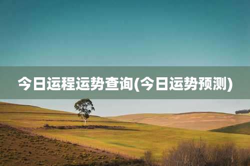 今日运程运势查询(今日运势预测)