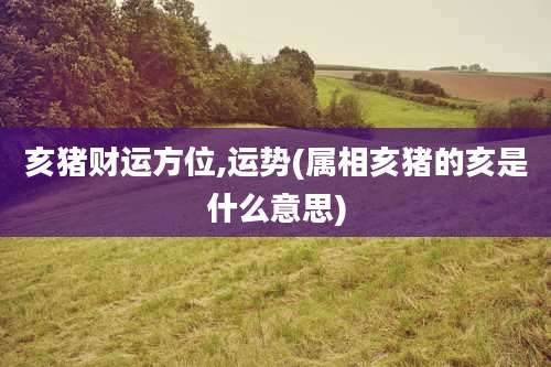 亥猪财运方位,运势(属相亥猪的亥是什么意思)