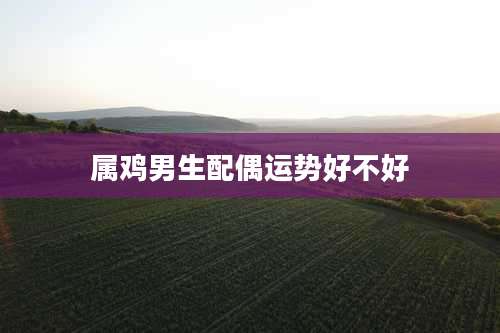属鸡男生配偶运势好不好