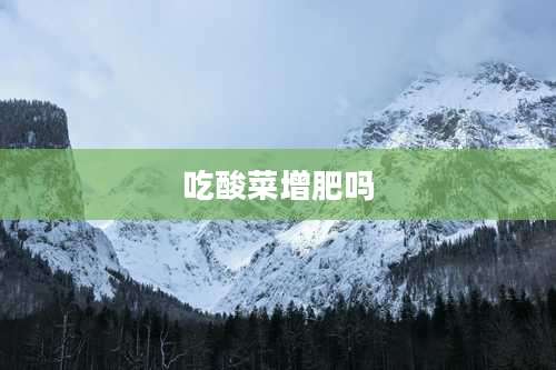 吃酸菜增肥吗