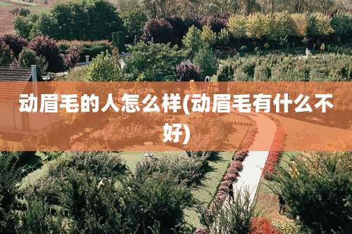 动眉毛的人怎么样(动眉毛有什么不好)