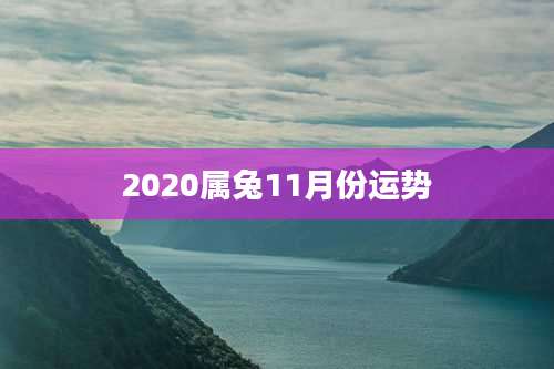 2020属兔11月份运势