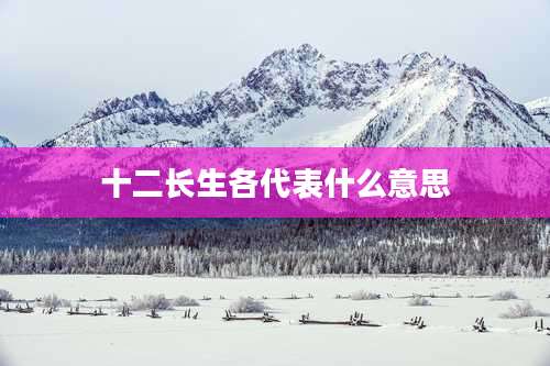 十二长生各代表什么意思
