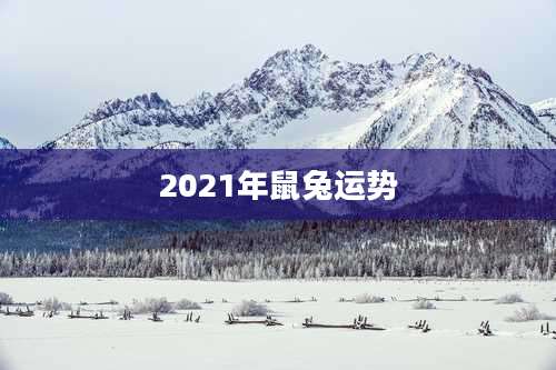 2021年鼠兔运势