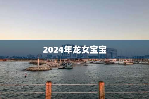 2024年龙女宝宝