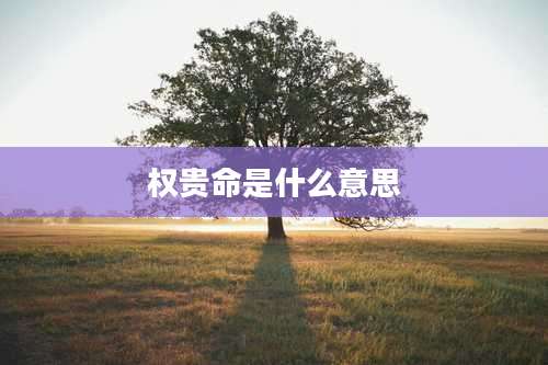 权贵命是什么意思