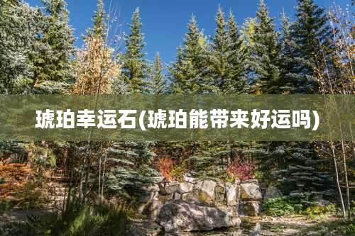 琥珀幸运石(琥珀能带来好运吗)