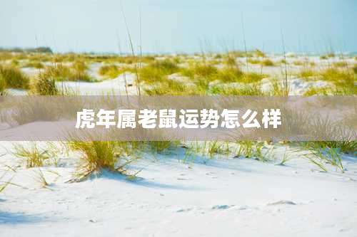 虎年属老鼠运势怎么样