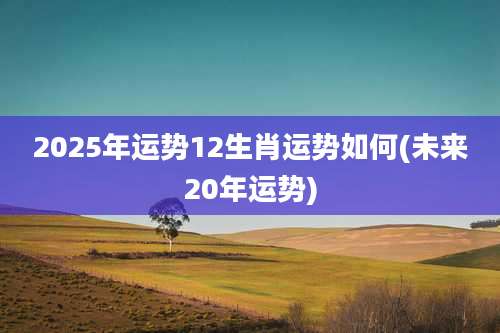 2025年运势12生肖运势如何(未来20年运势)