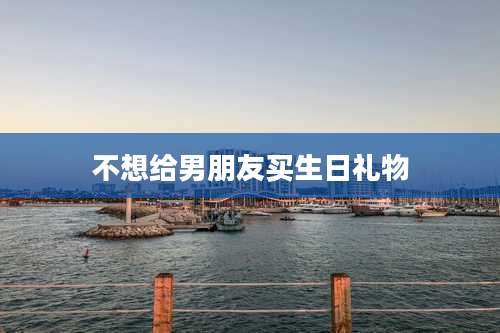 不想给男朋友买生日礼物