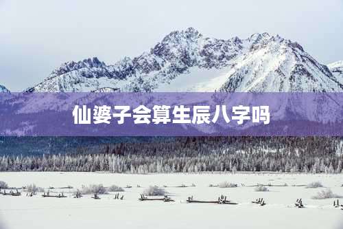 仙婆子会算生辰八字吗