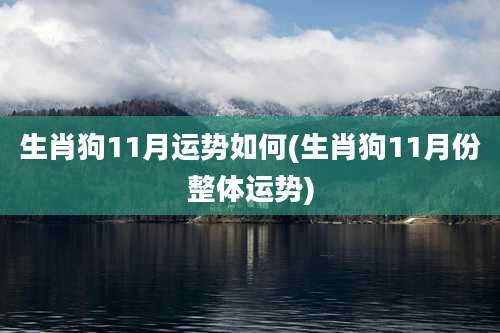生肖狗11月运势如何(生肖狗11月份整体运势)