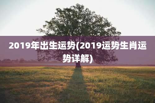2019年出生运势(2019运势生肖运势详解)