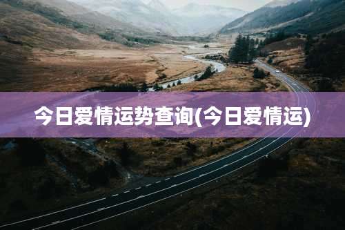 今日爱情运势查询(今日爱情运)