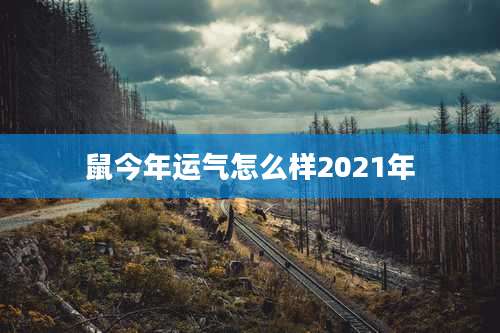 鼠今年运气怎么样2021年
