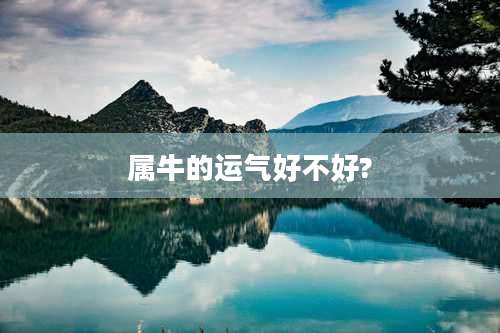 属牛的运气好不好?