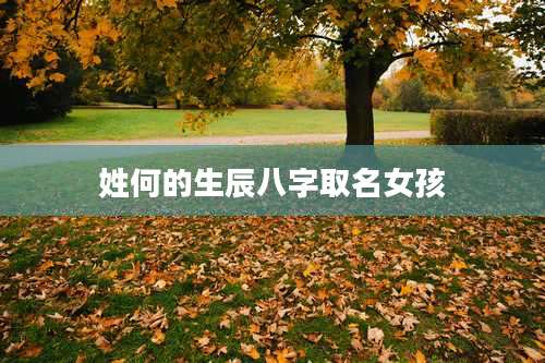 姓何的生辰八字取名女孩