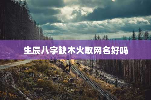 生辰八字缺木火取网名好吗