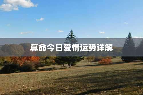 算命今日爱情运势详解