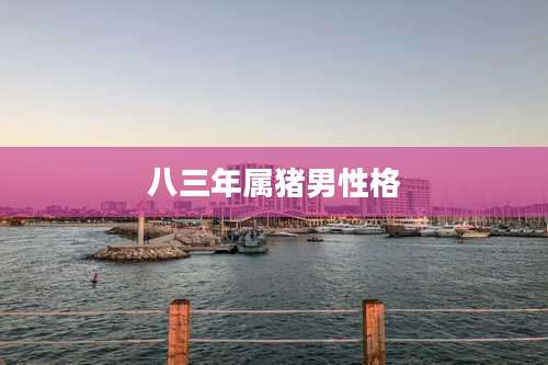 八三年属猪男性格