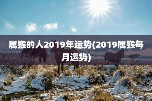 属猴的人2019年运势(2019属猴每月运势)