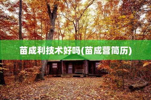 苗成利技术好吗(苗成营简历)