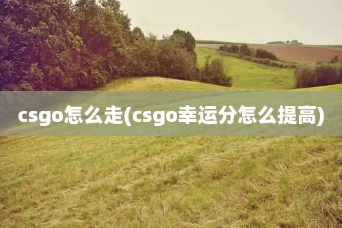 csgo怎么走(csgo幸运分怎么提高)