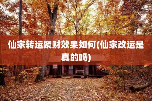 仙家转运聚财效果如何(仙家改运是真的吗)