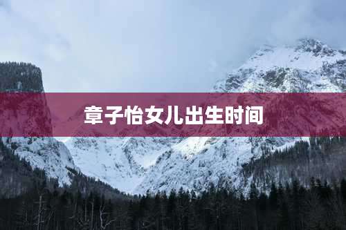 章子怡女儿出生时间