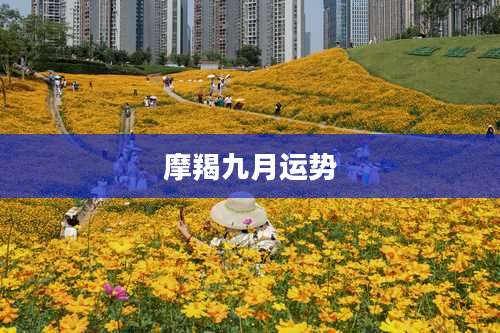 摩羯九月运势