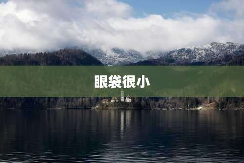 眼袋很小