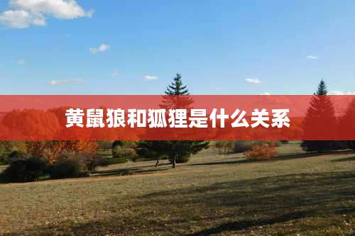 黄鼠狼和狐狸是什么关系