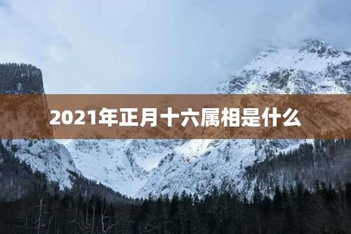 2021年正月十六属相是什么