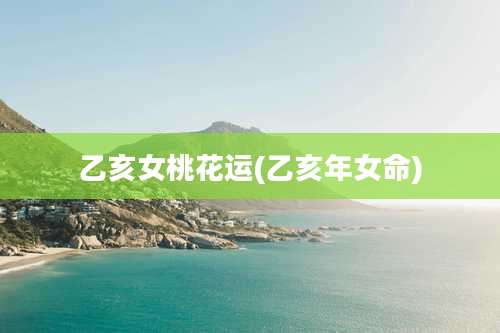 乙亥女桃花运(乙亥年女命)