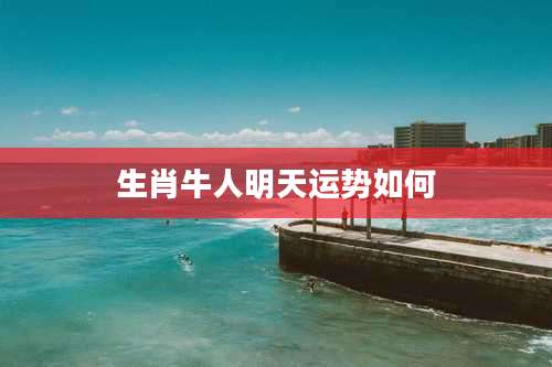 生肖牛人明天运势如何