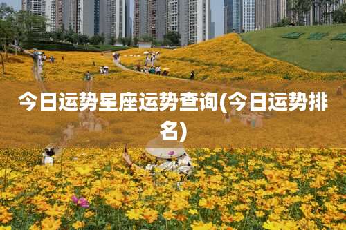 今日运势星座运势查询(今日运势排名)