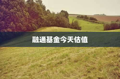 融通基金今天估值