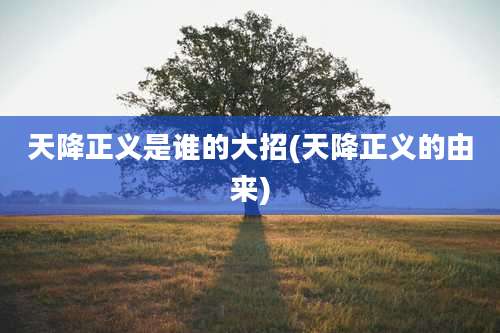 天降正义是谁的大招(天降正义的由来)