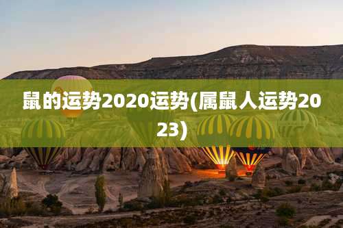 鼠的运势2020运势(属鼠人运势2023)