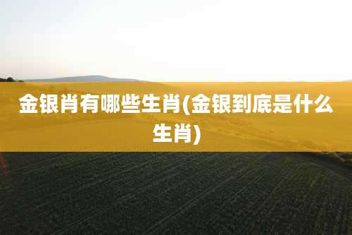 金银肖有哪些生肖(金银到底是什么生肖)